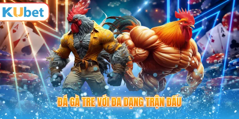 Danh sách trận đá gà đang mở trên KUBET